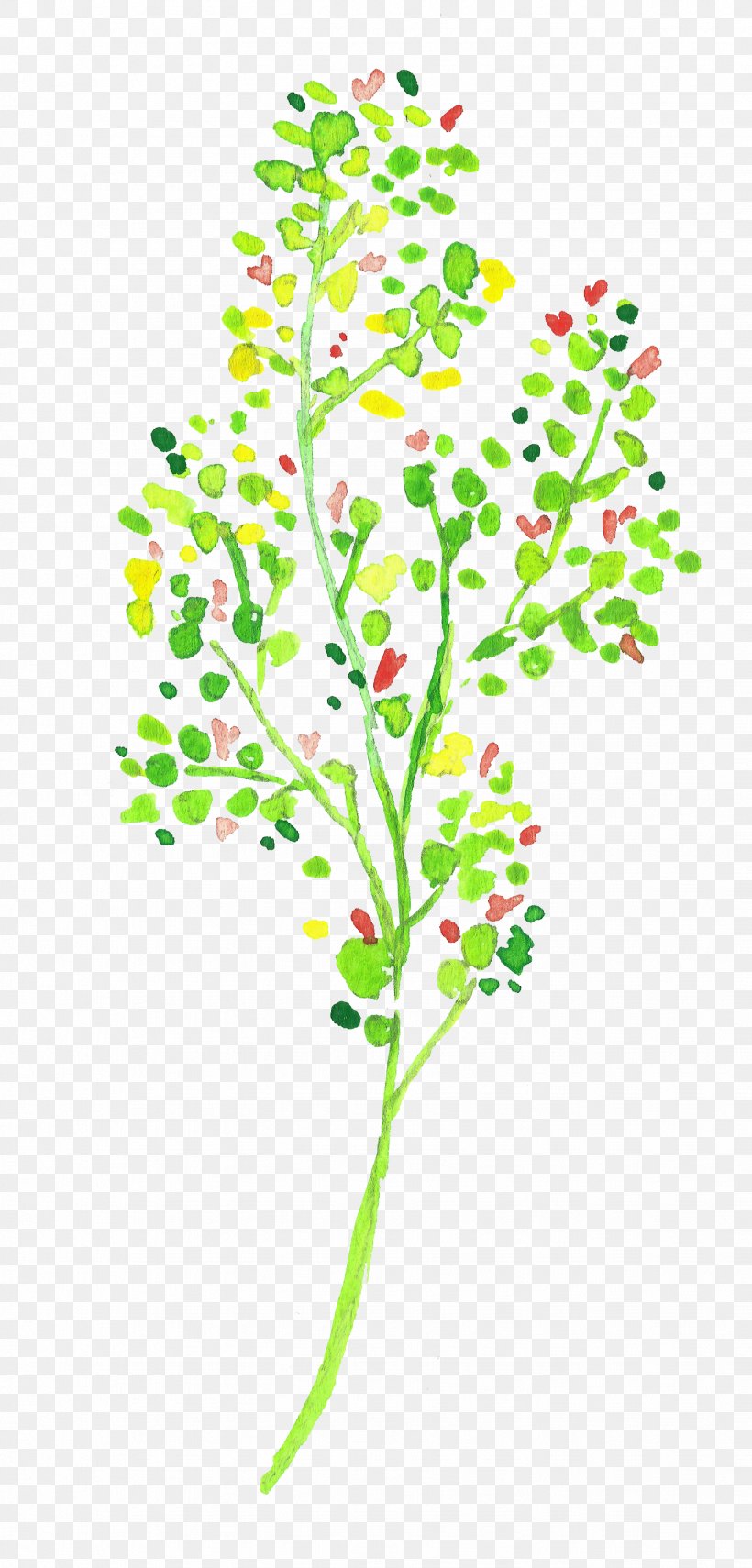 Twig Green Tree Color, PNG, 1438x3000px, Twig, Branch, Color, Dennegroen, Designer Download Free