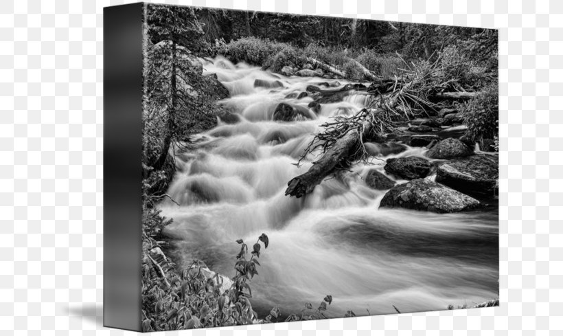 Water Resources State Park Water Feature Photography, PNG, 650x489px, Water Resources, Black And White, Geological Phenomenon, Greeting Note Cards, Landscape Download Free