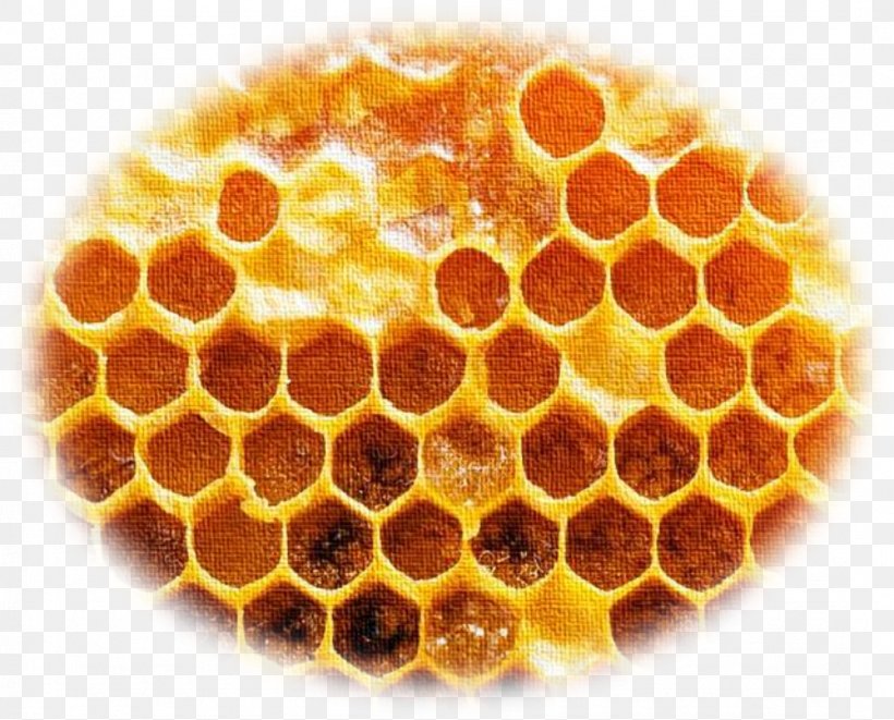 Bee Honeycomb Propolis Photography Image, PNG, 1075x867px, Bee, Bee Pollen, Extract, Featurepics, Hexagon Download Free