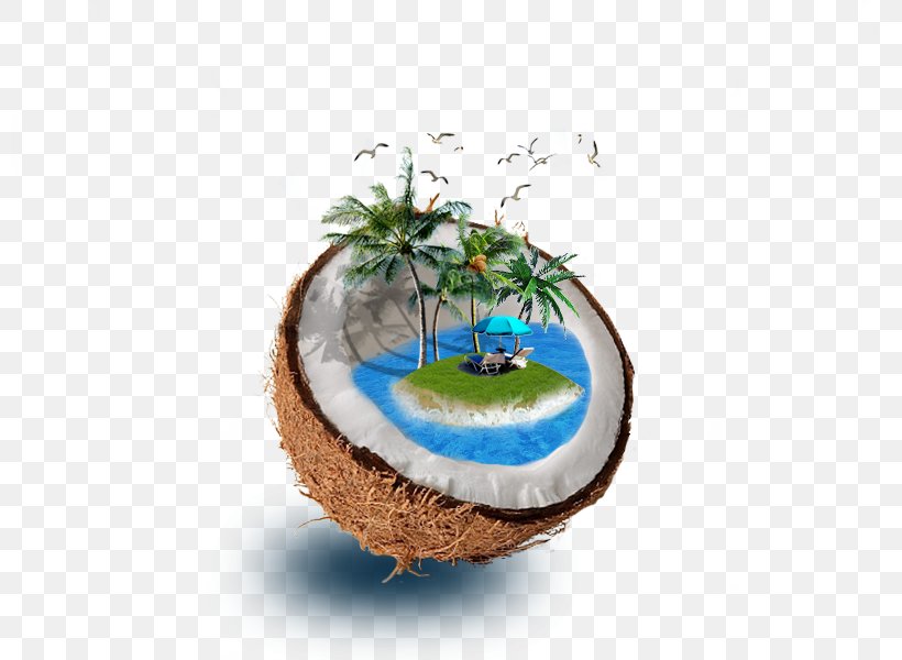 Coconut Water Tree Illustration, PNG, 800x600px, Coconut Water, Cartoon, Coconut, Creativity, Designer Download Free