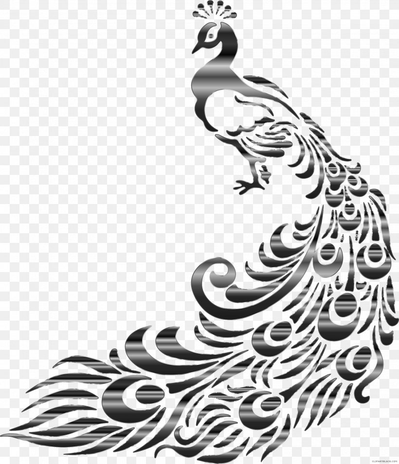 Drawing Asiatic Peafowl Clip Art Graphics, PNG, 1980x2308px, Drawing, Art, Asiatic Peafowl, Beak, Bird Download Free