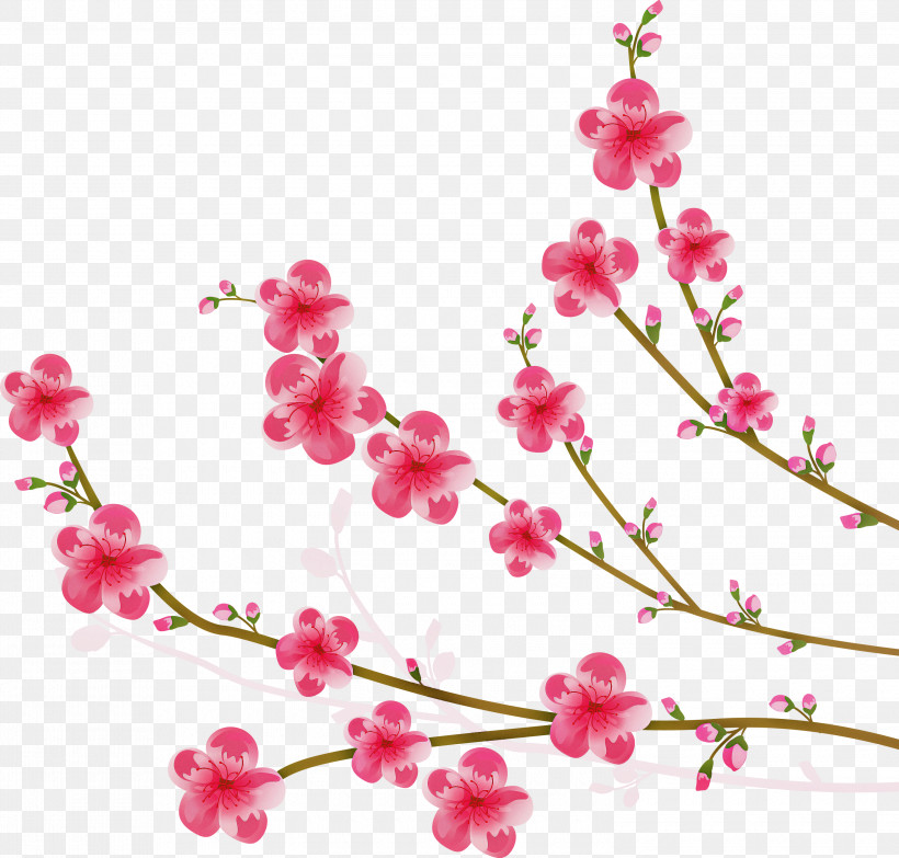 Flowers Floral, PNG, 3000x2867px, Flowers, Blossom, Branch, Cherry Blossom, Cut Flowers Download Free