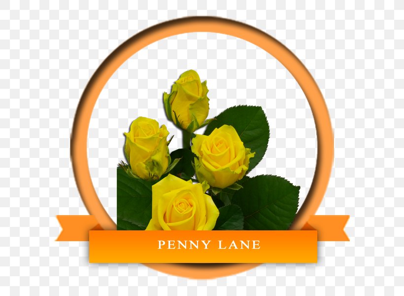 Garden Roses Flower Yellow Floral Design, PNG, 600x600px, Garden Roses, Cut Flowers, Floral Design, Floristry, Flower Download Free