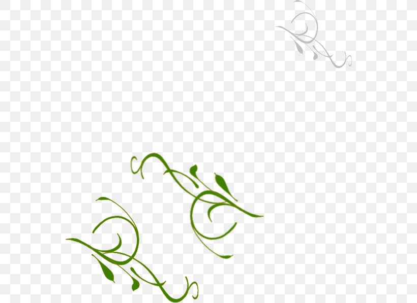 Leaf Green Plant Stem Vine Clip Art, PNG, 564x597px, Leaf, Artwork, Branch, Flora, Flower Download Free