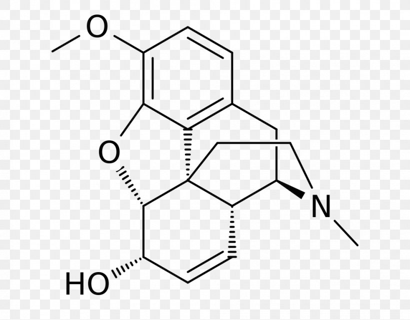 Codeine Morphine Opium Poppy Molecule Opioid, PNG, 982x768px, Codeine, Area, Black, Black And White, Diagram Download Free