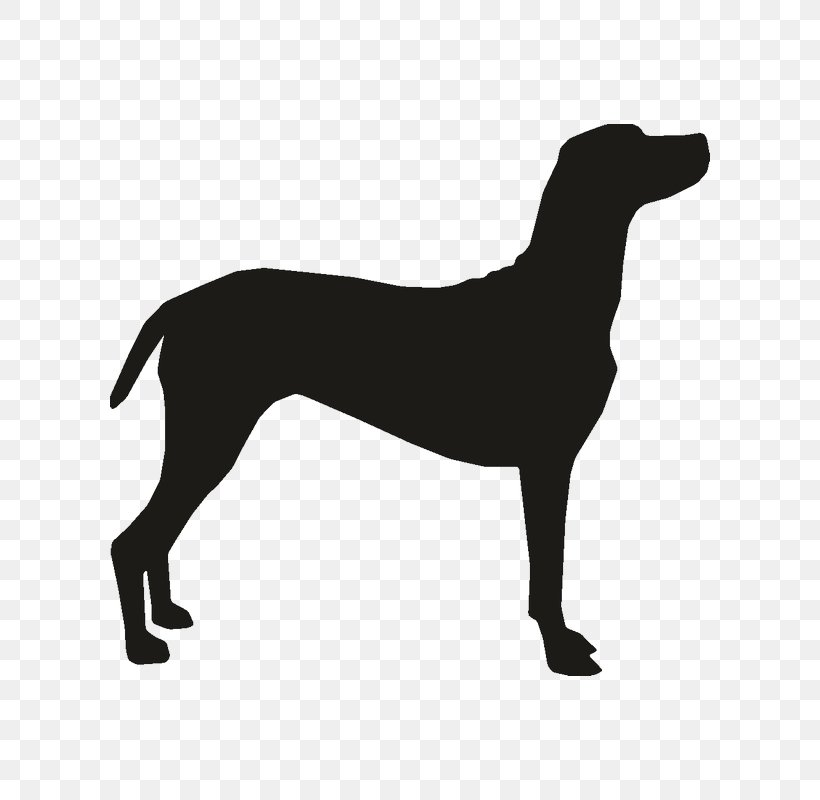 Dobermann Bulldog Bull Terrier Puppy Dog Harness, PNG, 800x800px, Dobermann, Black, Black And White, Breed, Bull Terrier Download Free