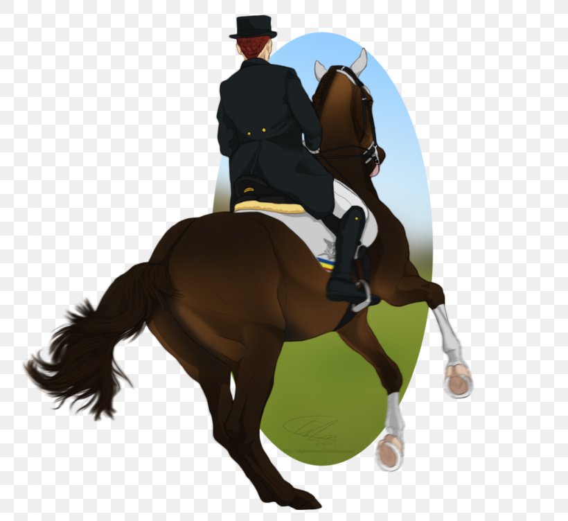 Hunt Seat Stallion Rein Dressage Mustang, PNG, 1024x940px, Hunt Seat, Animal Sports, Animal Training, Bit, Bridle Download Free