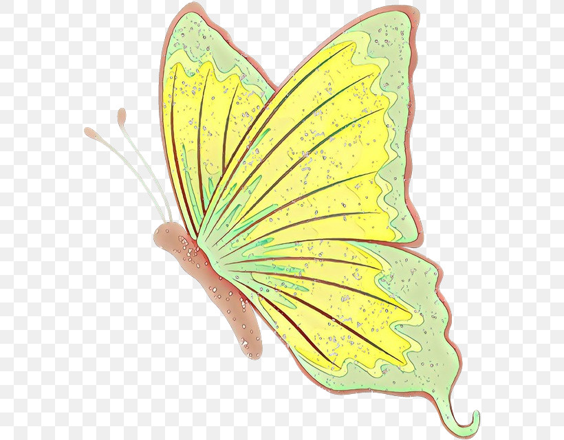 Butterfly Insect Moths And Butterflies Leaf Yellow, PNG, 576x640px, Butterfly, Insect, Leaf, Moths And Butterflies, Pieridae Download Free