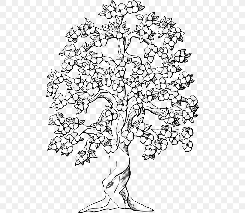 Coloring Book Tree Oak Drawing, PNG, 512x712px, Coloring Book, Area, Arecaceae, Art, Black And White Download Free