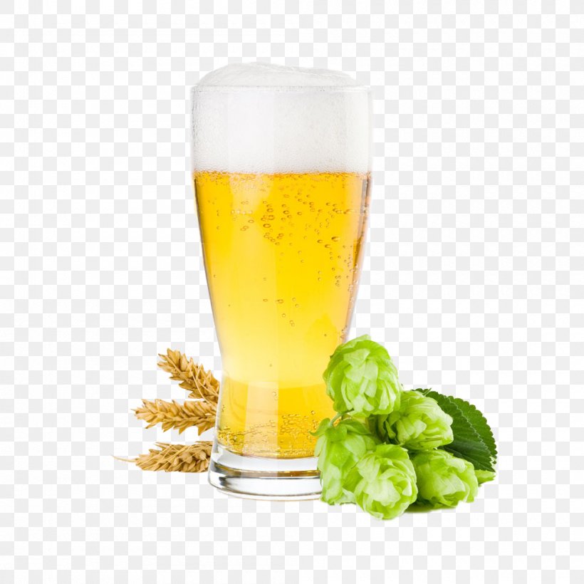 Malt Beer Ale Beer Brewing Grains & Malts Artisau Garagardotegi, PNG, 1000x1000px, Beer, Ale, Artisau Garagardotegi, Barley, Beer Brewing Grains Malts Download Free