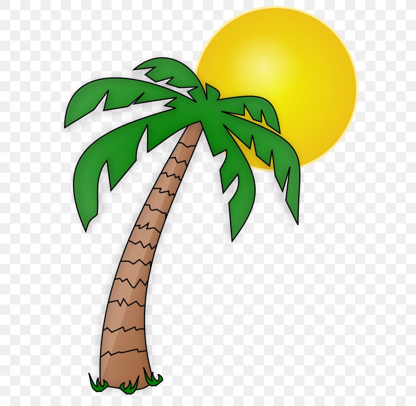 Arecaceae Cartoon Drawing Clip Art, PNG, 617x800px, Arecaceae, Animation, Cartoon, Drawing, Flowering Plant Download Free