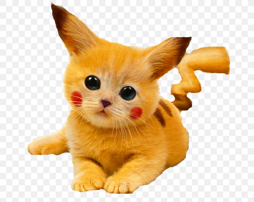Cat Kitten Pikachu Puppy Cuteness, PNG, 700x654px, Cat, Animal, Calico Cat, Carnivoran, Cat Like Mammal Download Free