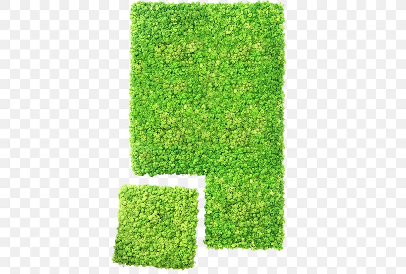 Lawn Rectangle Shrub, PNG, 600x554px, Lawn, Grass, Green, Plant, Rectangle Download Free