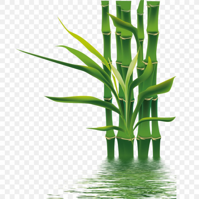 Bamboo If(we) Bamboe Wallpaper, PNG, 1417x1417px, 3d Computer Graphics, Bamboo, Bamboe, Bamboo Blossom, Flowerpot Download Free
