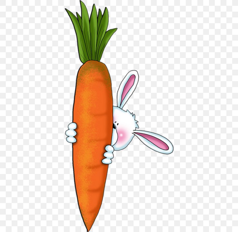 Carrot Cake Hare Rabbit Clip Art, PNG, 376x800px, Carrot, Carrot Cake, Daucus Carota, Drawing, Flower Download Free