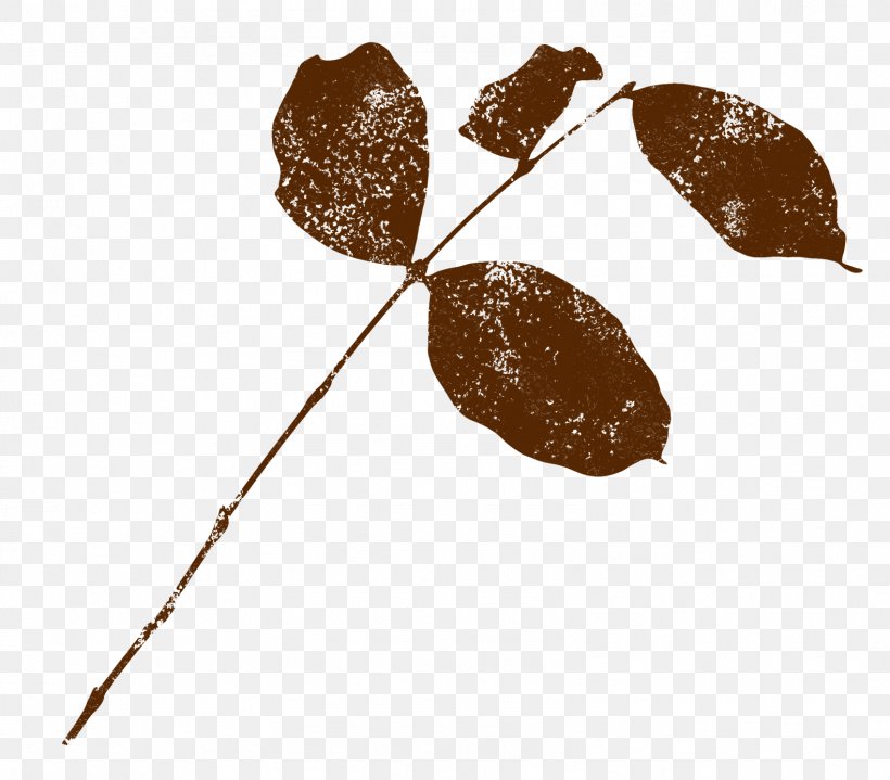 Leaf Brown, PNG, 1581x1388px, Leaf, Brown Download Free