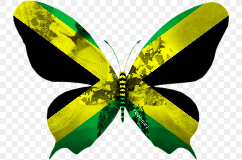 Flag Of Jamaica National Emblem Croatia: Mižerja, PNG, 734x544px, Flag Of Jamaica, Arthropod, Brush Footed Butterfly, Butterfly, English Download Free