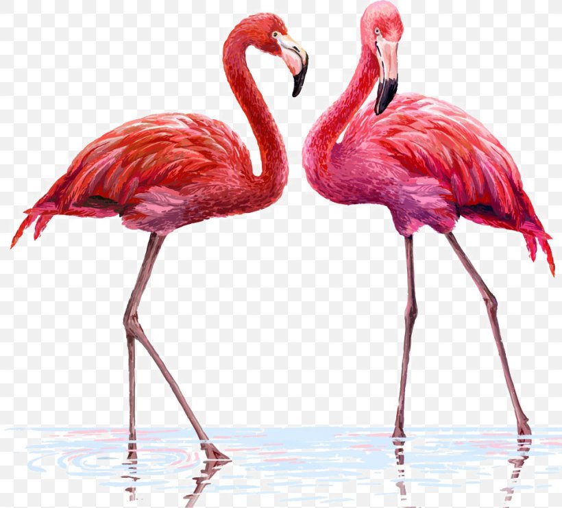Flamingo Illustration, PNG, 970x878px, Drawing, Beak, Bird, Canvas, Flamingo Download Free
