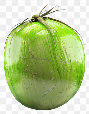 Green Coconut - Fresh Green Coconut PNG