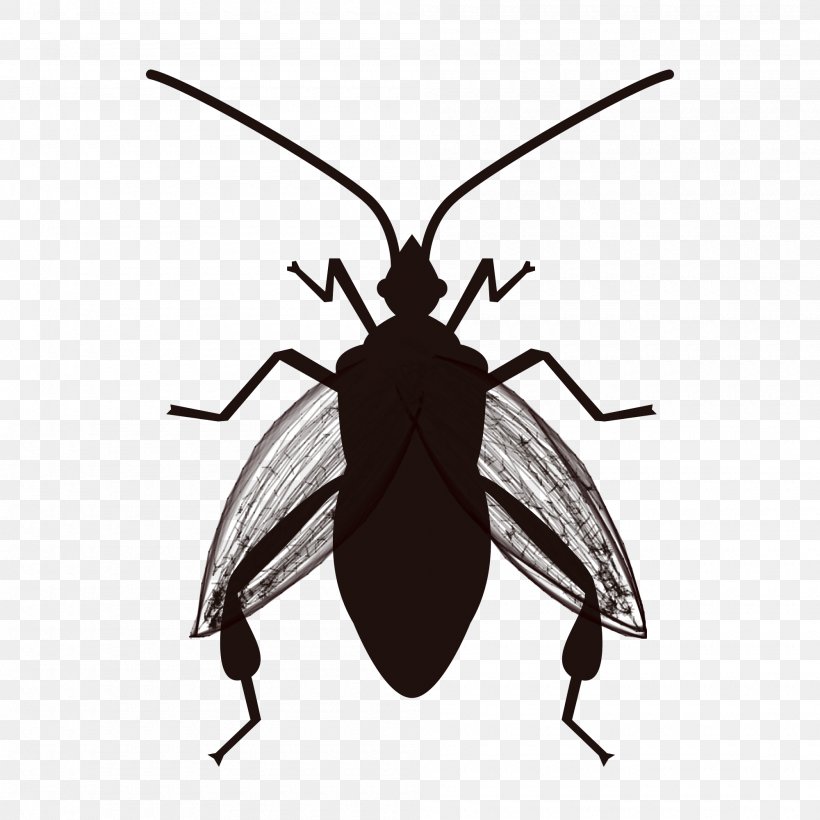 Insect Cockroach Software Bug True Bugs Pest, PNG, 2000x2000px, Insect, Arthropod, Bed Bug, Bed Bug Control Techniques, Beetle Download Free