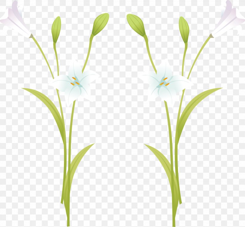 Lilium Euclidean Vector, PNG, 1985x1845px, Lilium, Branch, Drawing, Flora, Floral Design Download Free