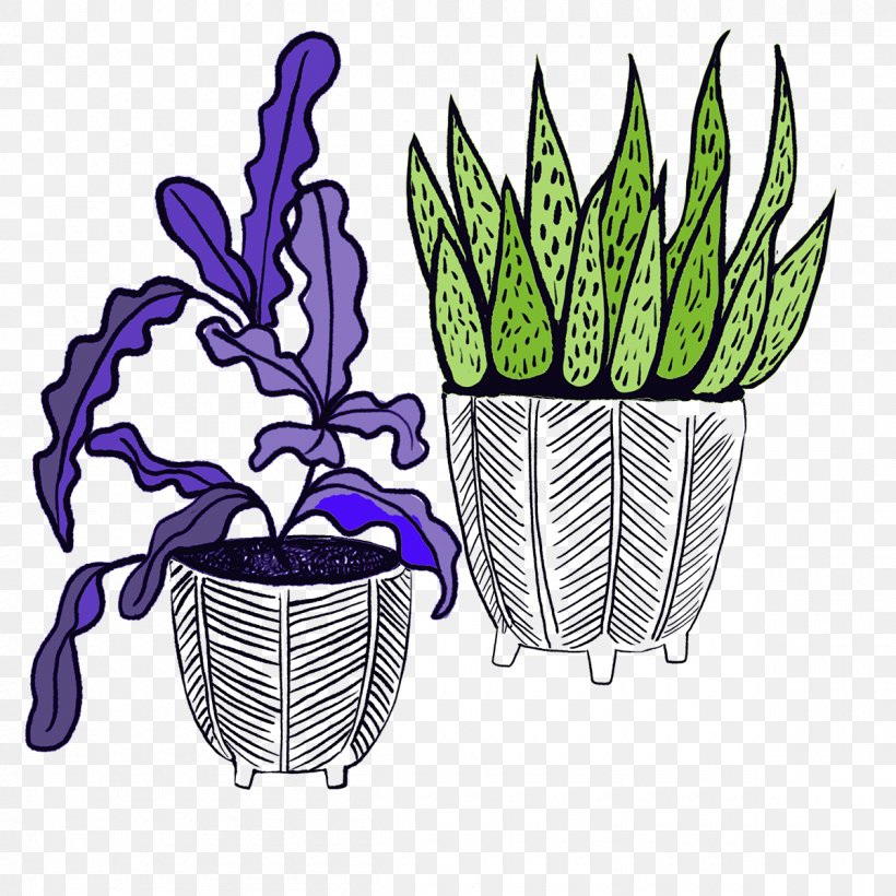 Purple Watercolor Flower, PNG, 1200x1200px, Cactus, Botany, Color, Flower, Flowering Plant Download Free