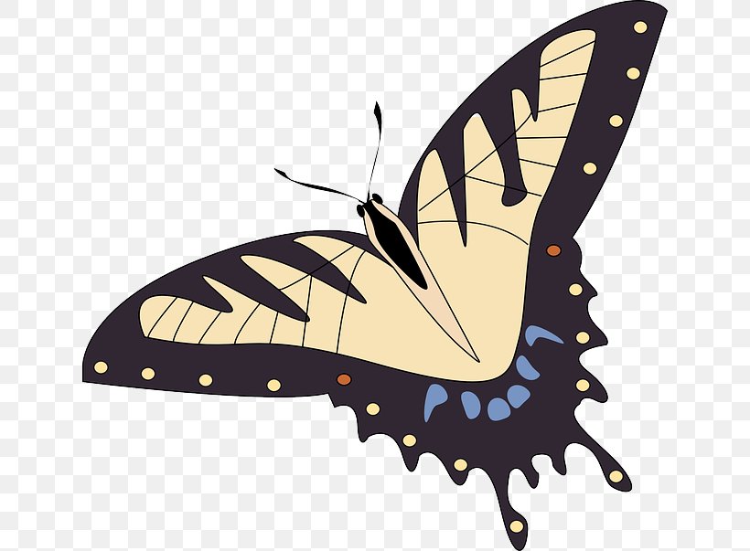 Butterfly Papillon Dog Morpho Peleides Insect Clip Art, PNG, 640x603px, Butterfly, Arthropod, Brush Footed Butterfly, Butterflies And Moths, Dog Breed Download Free