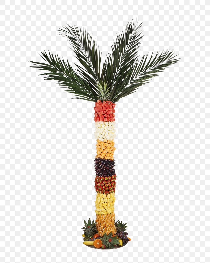 Date Palm Flowerpot Arecaceae, PNG, 650x1024px, Date Palm, Arecaceae, Arecales, Flowerpot, Palm Tree Download Free