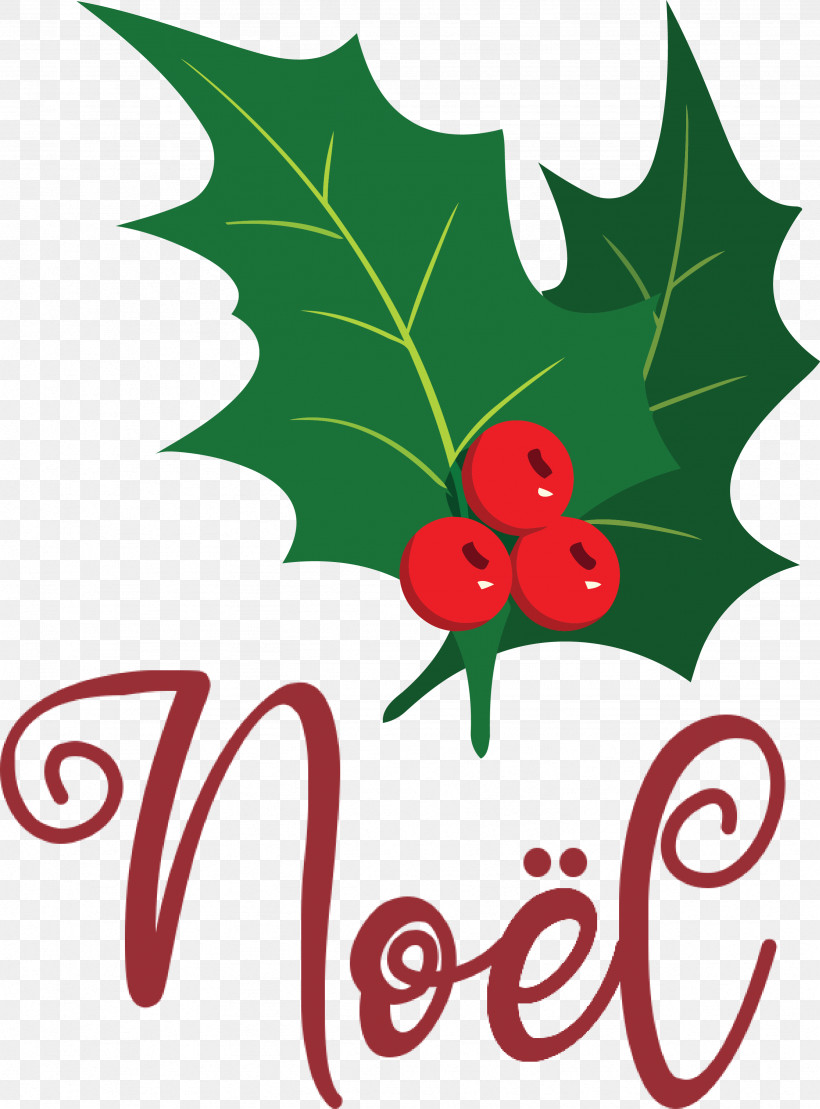 Noel Xmas Christmas, PNG, 2461x3329px, Noel, Christmas, Christmas Day, Common Holly, Drawing Download Free
