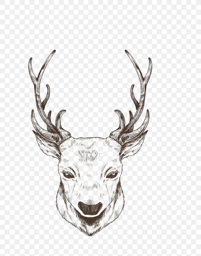 Reindeer Christmas, PNG, 800x1048px, Reindeer, Antler, Black, Black And White, Cartoon Download Free