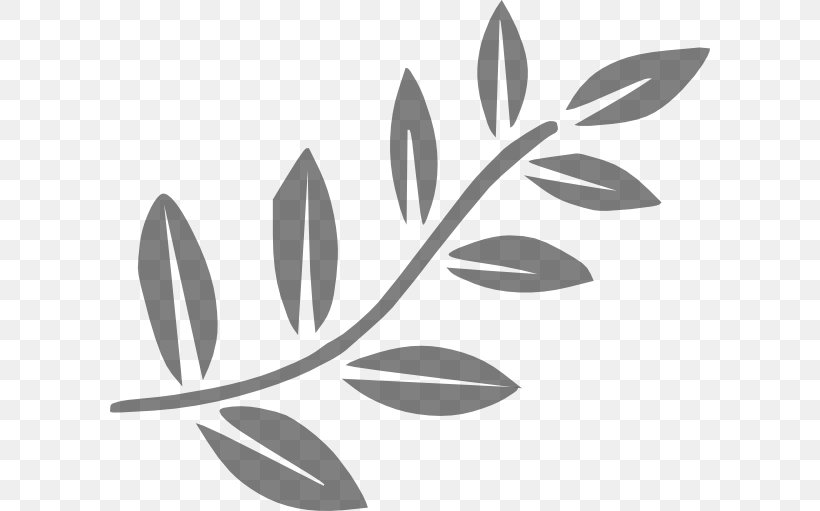 Clip Art Branch Drawing Tree, PNG, 600x511px, Branch, Bay Laurel, Blackandwhite, Botany, Drawing Download Free