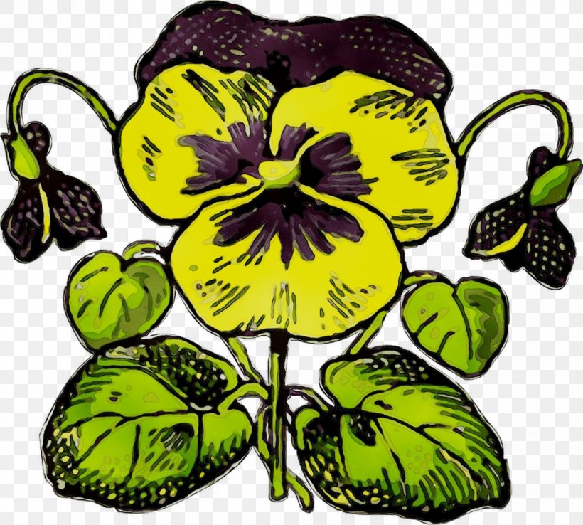 Clip Art Pansy, PNG, 1170x1053px, Pansy, Botany, Flower, Flowering Plant, Garden Download Free