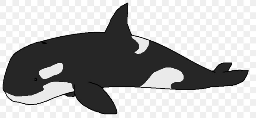Clip Art The Killer Whale Image Cetacea, PNG, 1024x475px, Killer Whale, Beluga Whale, Black, Black And White, Blue Whale Download Free