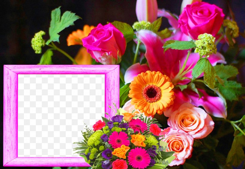 High-definition Television Flower High-definition Video 4K Resolution Wallpaper, PNG, 1561x1080px, 4k Resolution, Highdefinition Television, Annual Plant, Aspect Ratio, Centrepiece Download Free