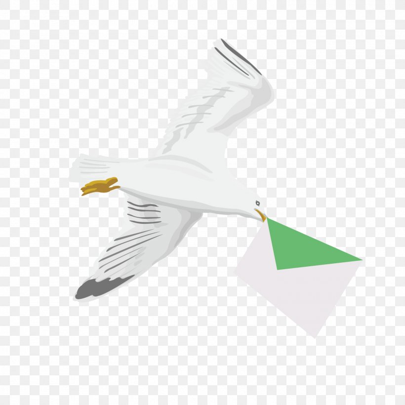 Homing Pigeon Bird Pigeon Post, PNG, 1500x1500px, Bird, Beak, Charadriiformes, Ducks Geese And Swans, Feather Download Free