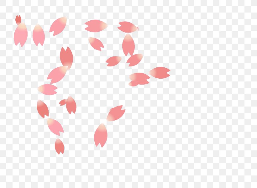 National Cherry Blossom Festival Petal Cerasus, PNG, 800x600px, National Cherry Blossom Festival, Blossom, Cerasus, Cherry, Cherry Blossom Download Free