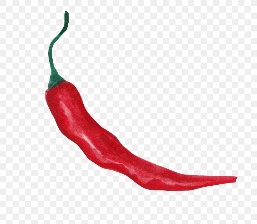 Tabasco Pepper Serrano Pepper Cayenne Pepper Bell Pepper Chili Pepper, PNG, 2300x2000px, Tabasco Pepper, Bell Pepper, Bell Peppers And Chili Peppers, Capsicum, Capsicum Annuum Download Free