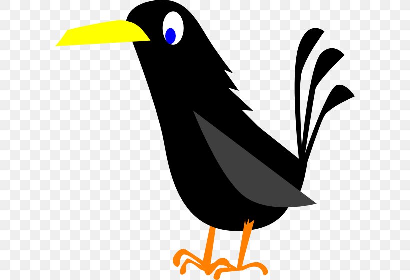 American Crow Common Raven Clip Art, PNG, 600x560px, American Crow, Acridotheres, Artwork, Beak, Bird Download Free