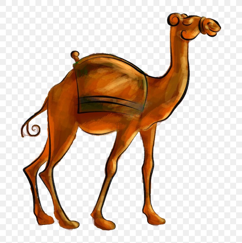 Camel, PNG, 760x824px, Camel, Animation, Arabian Camel, Camel Like Mammal, Desert Download Free