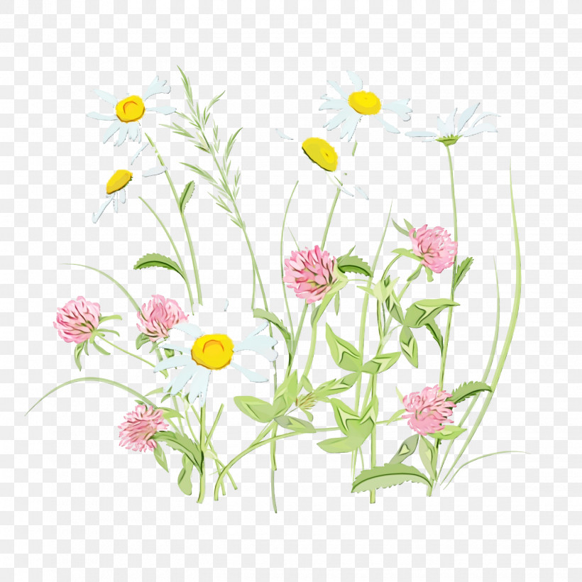 Floral Design, PNG, 1440x1440px, Spring, Camomile, Chamomile, Cut Flowers, Daisy Download Free