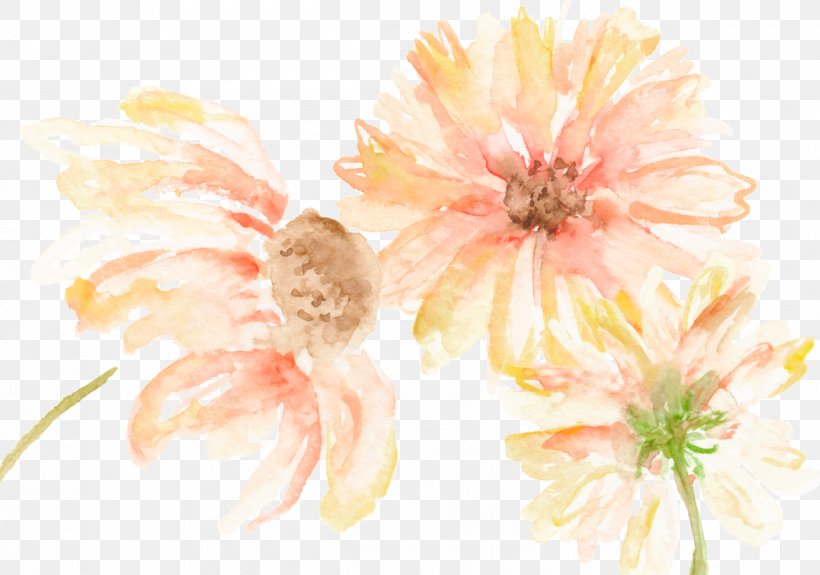 Floral Design Chrysanthemum Transvaal Daisy Still Life Photography Cut Flowers, PNG, 1200x842px, Floral Design, Chrysanthemum, Chrysanths, Cut Flowers, Dahlia Download Free