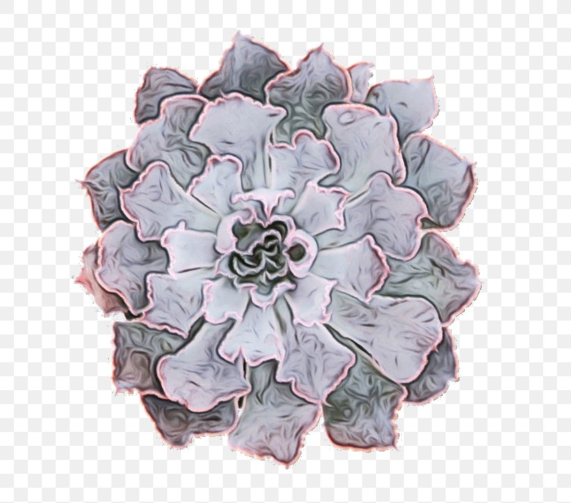 Flowers Background, PNG, 722x722px, Succulent Plant, Cactus, Cut Flowers, Cutting, Drawing Download Free