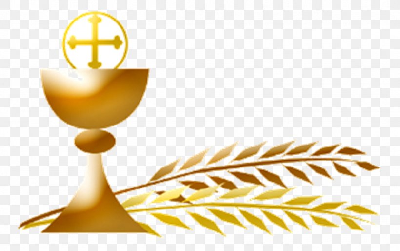 First Communion Eucharist Extraordinary Minister Of Holy Communion Parish Mass, PNG, 1024x642px, First Communion, Catholic Church, Communion, Eucharist, Gold Download Free