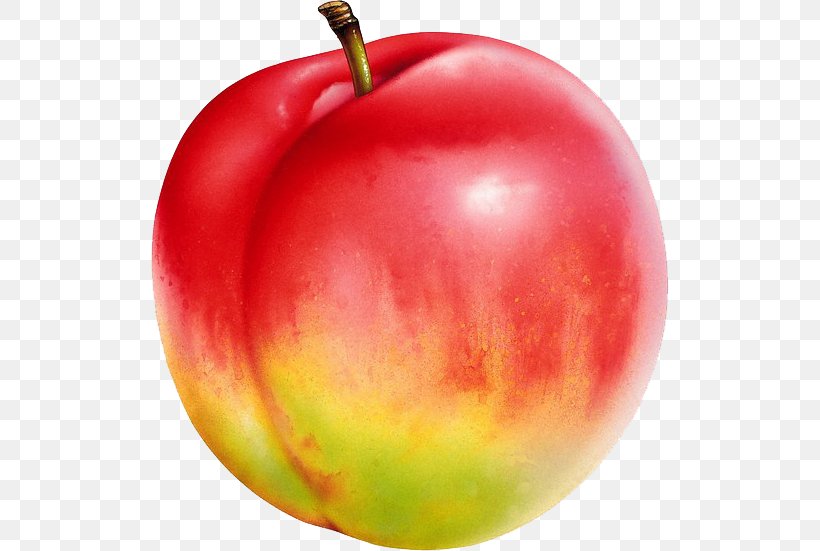 Nectarine Saturn Peach Auglis Food U674eu5b50, PNG, 518x551px, Nectarine, Apple, Auglis, Carambola, Cherry Download Free