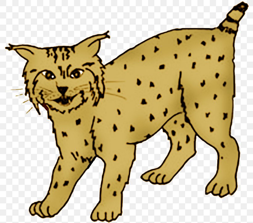Whiskers Wildcat Cheetah Dog, PNG, 800x724px, Whiskers, Animal Figure, Big Cat, Big Cats, Breed Download Free