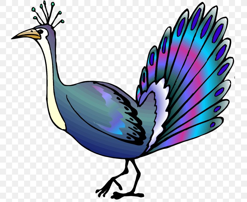 Bird Asiatic Peafowl Animation Clip Art, PNG, 750x671px, Bird, Animation, Asiatic Peafowl, Beak, Fauna Download Free