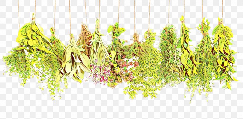 Medicine Alternative Health Services Herbalism, PNG, 1300x641px, Medicine, Alternative Health Services, Dietary Supplement, Grass, Health Download Free