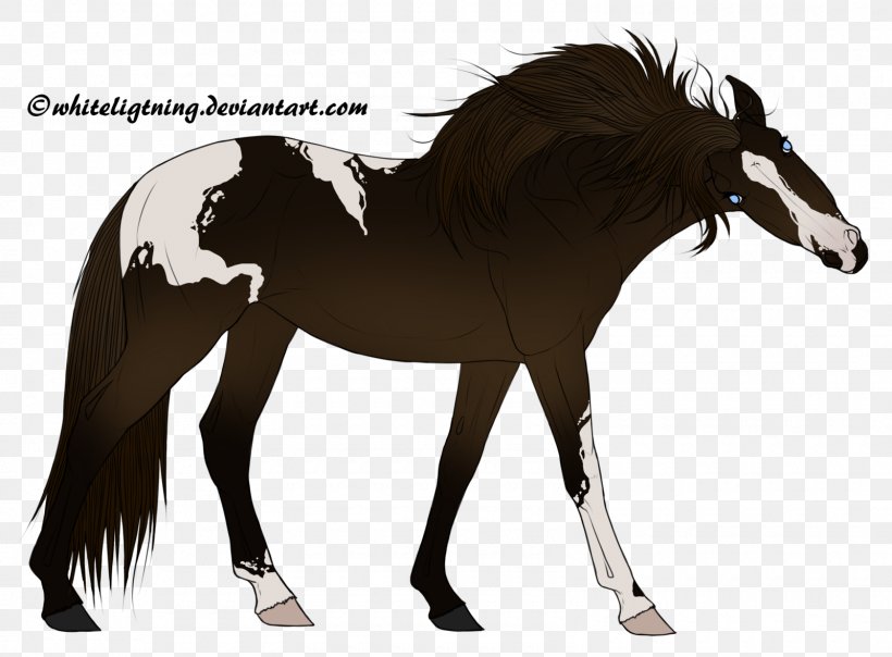 Mustang Foal Stallion Colt Mare, PNG, 1600x1180px, Mustang, Bridle, Colt, Dog Harness, Foal Download Free