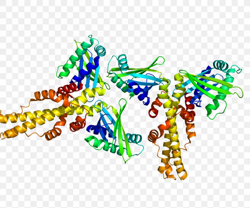 Non-homologous End-joining Factor 1 Non-homologous End Joining Homology DNA Repair Protein XRCC4, PNG, 1200x1000px, Watercolor, Cartoon, Flower, Frame, Heart Download Free