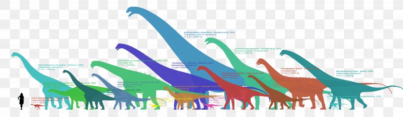 Sauropodomorpha Antarctosaurus Dinosaur Titanosaur Breviparopus, PNG, 3993x1169px, Sauropodomorpha, Antarctosaurus, Area, Art, Artist Download Free